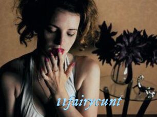11fairycunt