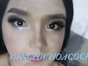12INCHWHOACOCK