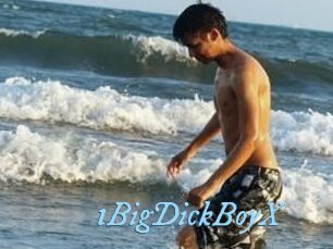 1BigDickBoyX