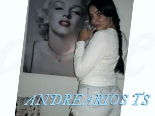 ANDREARIOS_TS