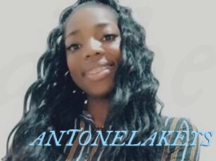 ANTONELAKEYS