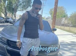 Aceboogiee