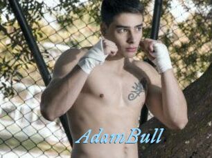 AdamBull
