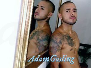 AdamGosling