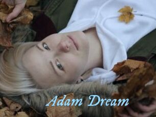 Adam_Dream