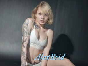 AlexReid