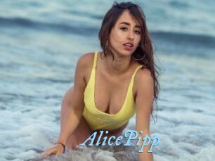 AlicePipp