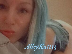 AlleyKat113