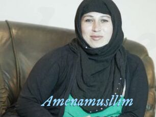 Amenamusllim