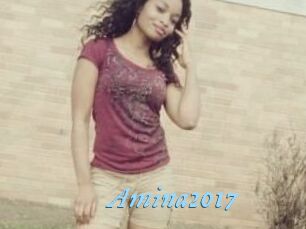 Amina2017