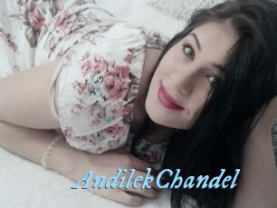AndilekChandel
