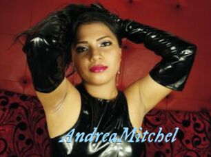 AndreaMitchel