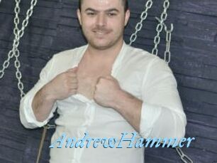 AndrewHammer