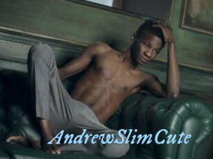 AndrewSlimCute