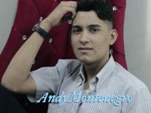 AndyMontenegro