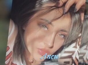 Aneu