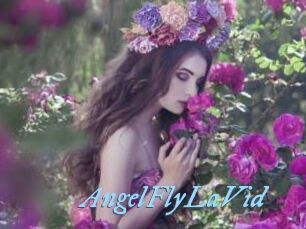 AngelFlyLaVid