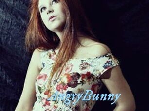 AngryBunny