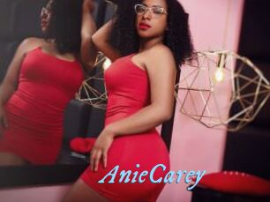 AnieCarey