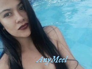 AnyMeel