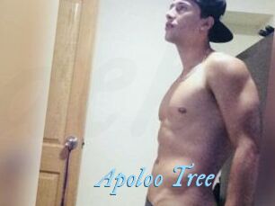 Apoloo_Tree