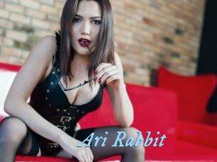 Ari_Rabbit