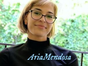AriaMendosa