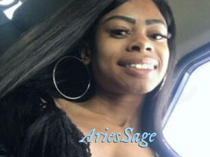 AriesSage