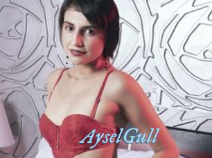 AyselGull
