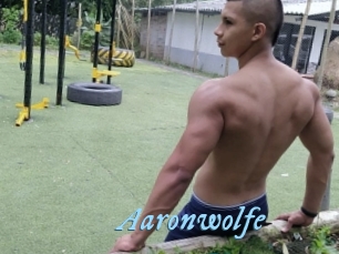 Aaronwolfe