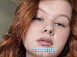 Accabuys
