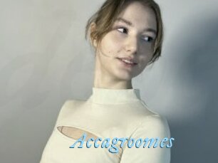 Accagroomes