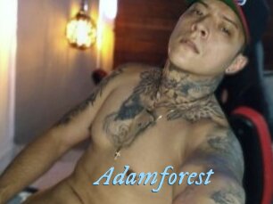 Adamforest
