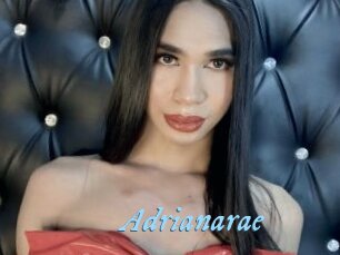 Adrianarae