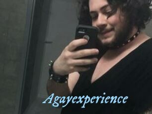 Agayexperience