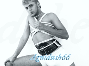 Agnidush66