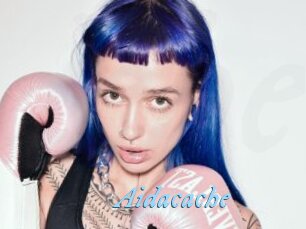 Aidacache