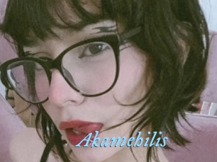 Akamehilis