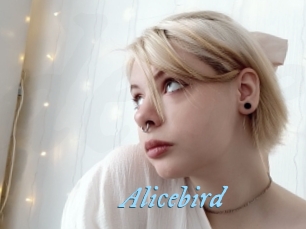 Alicebird