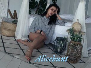 Alicebunt
