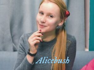 Alicebush