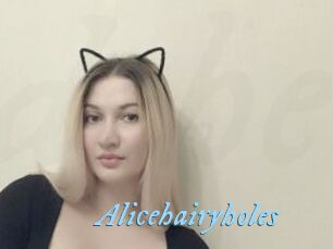 Alicehairyholes
