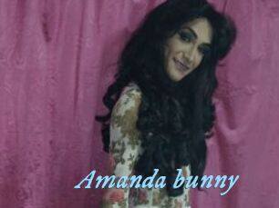 Amanda_bunny