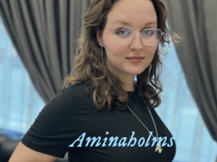 Aminaholms
