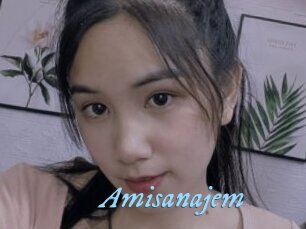Amisanajem