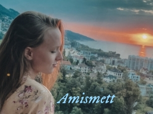 Amismett