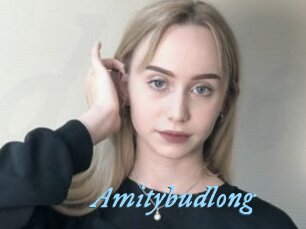 Amitybudlong