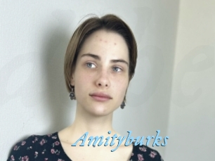 Amityburks