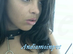 Andiamoinpvt