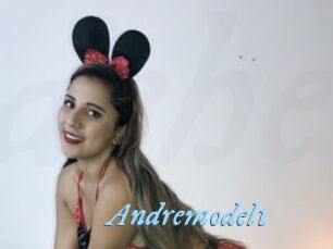 Andremodel1